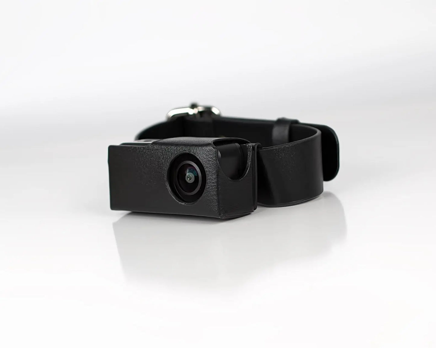 PETCAM HD x BORME